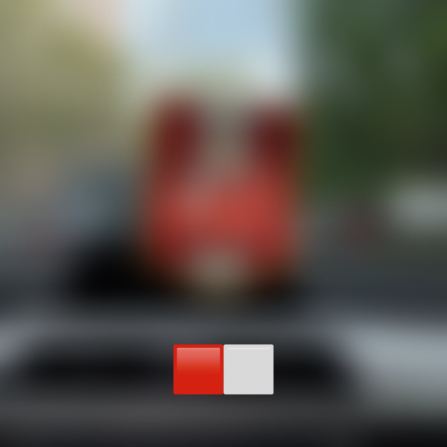 Car flags