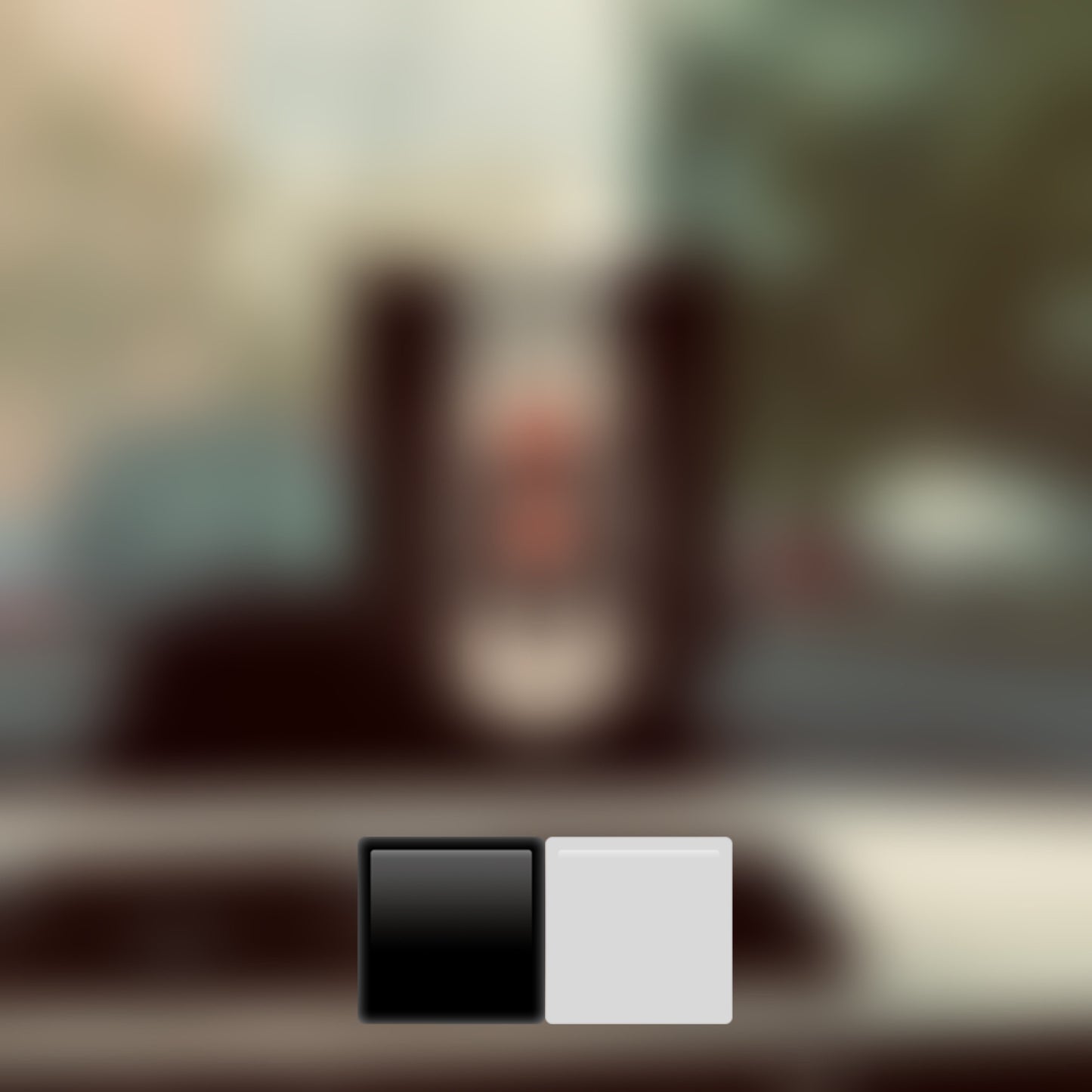 Car flags
